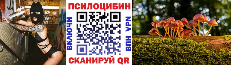 Галлюциногенные грибы MAGIC MUSHROOMS  Алатырь 