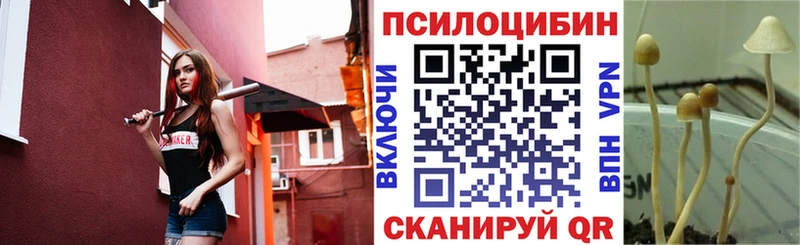 Псилоцибиновые грибы прущие грибы Алатырь